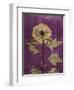 Purple Opus Chrysanthemum-Albert Koetsier-Framed Art Print