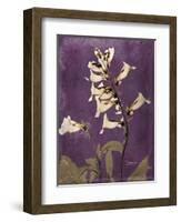 Purple Opus Foxglove-Albert Koetsier-Framed Art Print