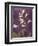 Purple Opus Foxglove-Albert Koetsier-Framed Art Print