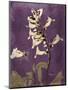 Purple Opus Foxglove-Albert Koetsier-Mounted Premium Giclee Print