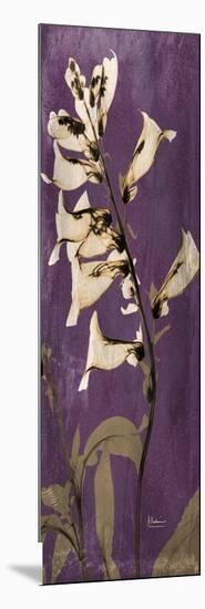 Purple Opus Foxglove-Albert Koetsier-Mounted Art Print
