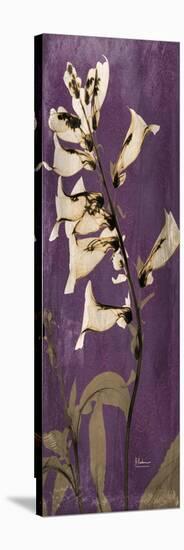 Purple Opus Foxglove-Albert Koetsier-Stretched Canvas