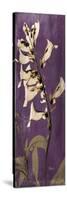 Purple Opus Foxglove-Albert Koetsier-Stretched Canvas
