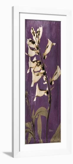 Purple Opus Foxglove-Albert Koetsier-Framed Art Print