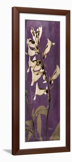 Purple Opus Foxglove-Albert Koetsier-Framed Art Print