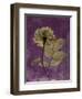 Purple Opus Rose-Albert Koetsier-Framed Art Print