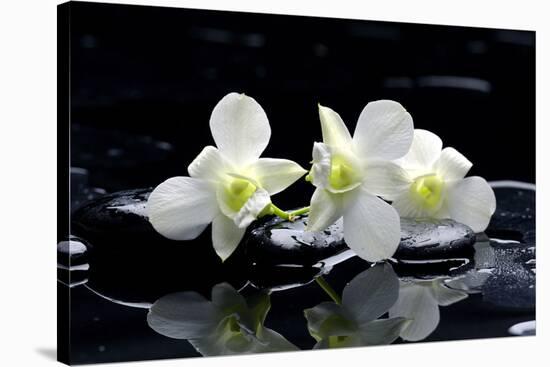 Purple Orchid and Black Stones with Reflection-crystalfoto-Stretched Canvas