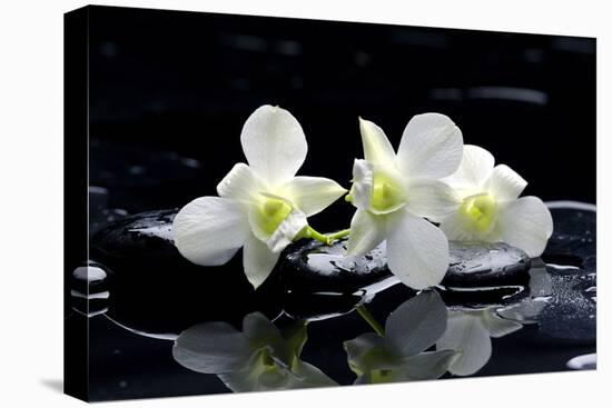 Purple Orchid and Black Stones with Reflection-crystalfoto-Stretched Canvas