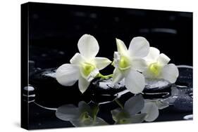 Purple Orchid and Black Stones with Reflection-crystalfoto-Stretched Canvas