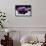 Purple Orchid and Black Stones with Reflection-crystalfoto-Framed Stretched Canvas displayed on a wall