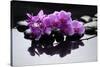 Purple Orchid and Black Stones with Reflection-crystalfoto-Stretched Canvas