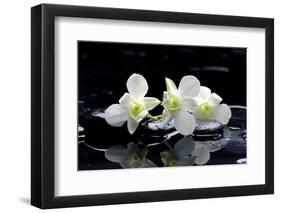 Purple Orchid and Black Stones with Reflection-crystalfoto-Framed Photographic Print