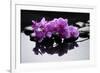 Purple Orchid and Black Stones with Reflection-crystalfoto-Framed Photographic Print