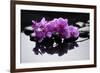 Purple Orchid and Black Stones with Reflection-crystalfoto-Framed Photographic Print