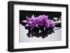 Purple Orchid and Black Stones with Reflection-crystalfoto-Framed Photographic Print