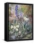 Purple Orchid and Primrose-Thomas Collier-Framed Stretched Canvas