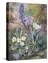 Purple Orchid and Primrose-Thomas Collier-Stretched Canvas