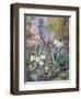 Purple Orchid and Primrose-Thomas Collier-Framed Giclee Print