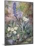 Purple Orchid and Primrose-Thomas Collier-Mounted Giclee Print