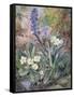 Purple Orchid and Primrose-Thomas Collier-Framed Stretched Canvas