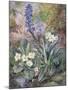 Purple Orchid and Primrose-Thomas Collier-Mounted Giclee Print