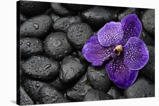 Purple Orchid Flower and Stones in Water Drops-crystalfoto-Stretched Canvas