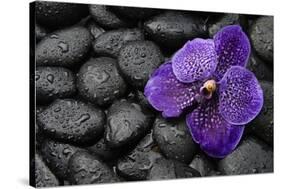 Purple Orchid Flower and Stones in Water Drops-crystalfoto-Stretched Canvas