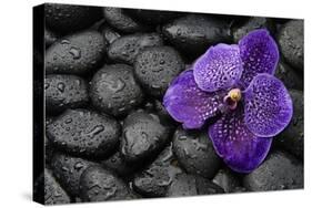 Purple Orchid Flower and Stones in Water Drops-crystalfoto-Stretched Canvas