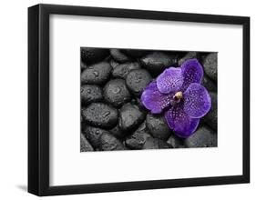 Purple Orchid Flower and Stones in Water Drops-crystalfoto-Framed Photographic Print