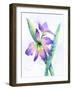 Purple Orchid-Michelle Faber-Framed Giclee Print