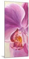 Purple Orchids I-Cynthia Ann-Mounted Art Print