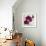 Purple Orchids I-Nicole Katano-Framed Photo displayed on a wall