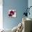 Purple Orchids I-Nicole Katano-Mounted Photo displayed on a wall