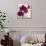 Purple Orchids I-Nicole Katano-Photo displayed on a wall