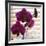 Purple Orchids I-Nicole Katano-Framed Photo