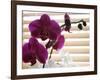 Purple Orchids II-Nicole Katano-Framed Photo