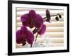 Purple Orchids II-Nicole Katano-Framed Photo