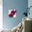 Purple Orchids III-Nicole Katano-Stretched Canvas displayed on a wall