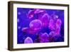 Purple Orchids in Lavender Blue Moody Light with Shining Stars from Little Blossoms-Alaya Gadeh-Framed Photographic Print