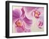 Purple Orchids-Cynthia Ann-Framed Art Print