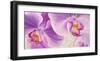 Purple Orchids-Cynthia Ann-Framed Giclee Print