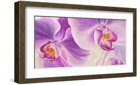 Purple Orchids-Cynthia Ann-Framed Giclee Print