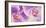 Purple Orchids-Cynthia Ann-Framed Giclee Print