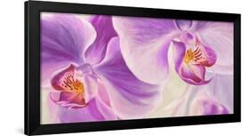 Purple Orchids-Cynthia Ann-Framed Giclee Print