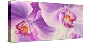 Purple Orchids-Cynthia Ann-Stretched Canvas