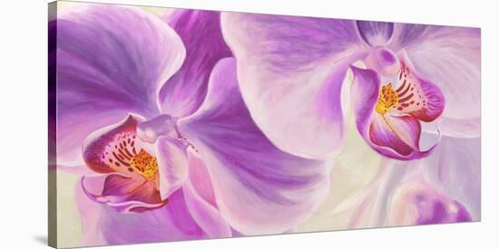 Purple Orchids-Cynthia Ann-Stretched Canvas