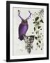 Purple Owl with Antlers-Fab Funky-Framed Art Print