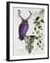 Purple Owl with Antlers-Fab Funky-Framed Art Print