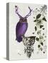 Purple Owl with Antlers-Fab Funky-Stretched Canvas