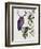 Purple Owl with Antlers-Fab Funky-Framed Art Print